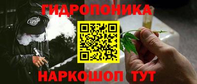 jwh Нальчик